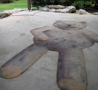 Charming Cottage Rental Tucked Away in the Countryside near Mount Gambier, South Australia - 7