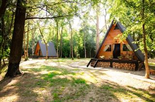 Forest Houses Odra - - 6