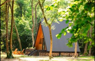 Forest Houses Odra - - 4