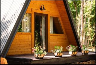 Forest Houses Odra - - 2