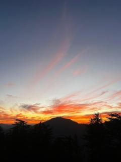 The White Castle By Lavender Hotels - Luxury Stay - 9