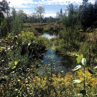 Elegant Vacation Rental with Breakfast Included in Erin, Ontario - 3