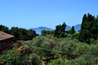 Appartamento in villetta - 1