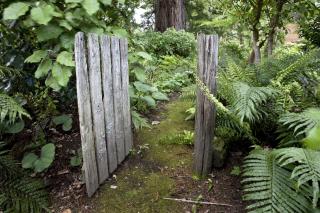 River Cottage Rental Perfect for a Turangi Vacation in New Zealand - 1