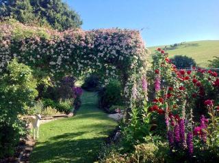 Vegan Bed and Breakfast Rental at Animal Sanctuary in Milton, South Island, New Zealand - 9