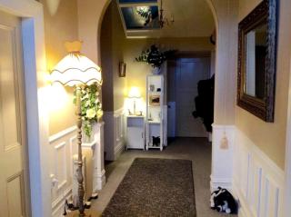 Vegan Bed and Breakfast Rental at Animal Sanctuary in Milton, South Island, New Zealand - 7