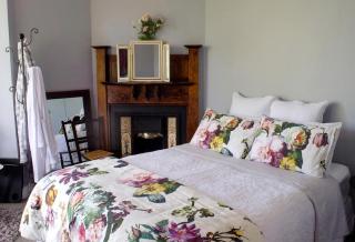 Vegan Bed and Breakfast Rental at Animal Sanctuary in Milton, South Island, New Zealand - 4