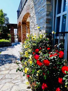 Villa Camelina - Barat - 7