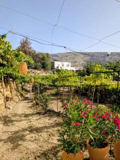 Casa Rural en Ohanes, 1 dormitorio - El Cortijo Escondido, La Rosa - 0