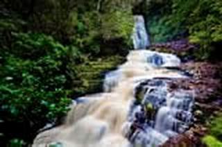 Fully-Furnished Holiday Room near Catlins Forest Park, South Island, New Zealand - 1
