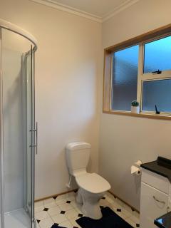 Cheerful country home with 3-bedrooms, 2-bathrooms - Dunedin - 6