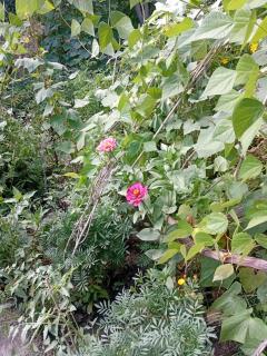 Culture In & SPA - 4