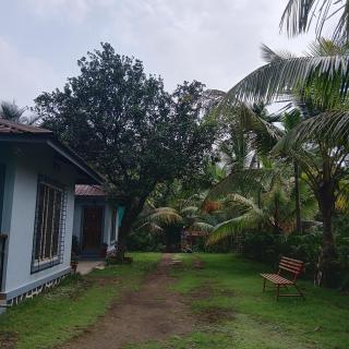Disha Villa - 7