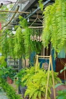 Rusty Garage Homestay Huế - Hue - 8