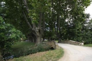 Mas Loisonville - Demeure d'exception & Spa en Drôme Provençale - Grillon - 2