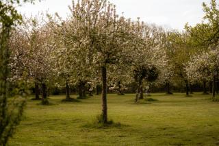 Corneli Residenties - Chateau St Gerlach - 8