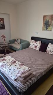 Apartments Magnolija - 6