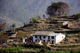 Kaphal Kanarkha Homestay - Bhīm Tāl - 5