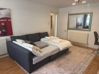 Luxury 1 Bed Tower Bridge - 9