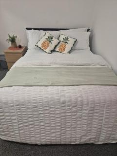 Spacious Large 4BR Home Train Station University - 1