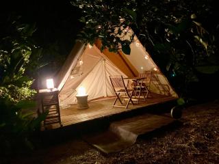 La calma entre naranjos - 2