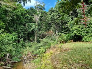 Where The Forest Meets The Sea - Bloomfield - 8