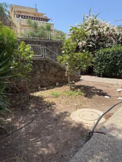 הכינרת מולי - Tiberias - 4