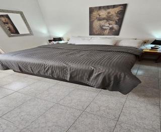 Lcd - Diversitat - 6