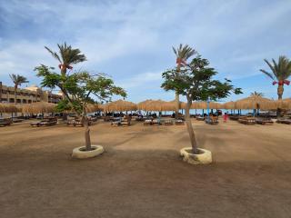فندق طيبه - Hurghada - 2