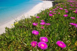 Le Largure by BarbarHouse - San Foca - 5