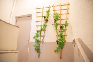 Qualys Vignoble parking, square view, close to city - 6