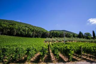 Cantina Semonte Wine Resort - 2