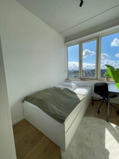 Stunning big apartment - 7