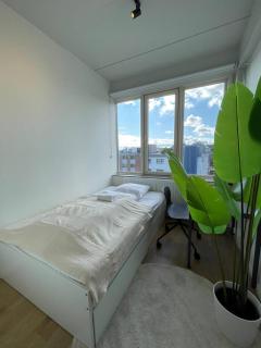 Stunning big apartment - 4
