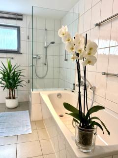 Traumferienwohnung zwischen Köln und Düsseldorf - 2