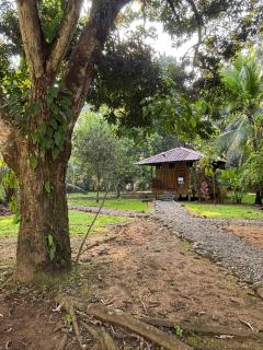 Sabalo Lodge Tours and Cabins - 1