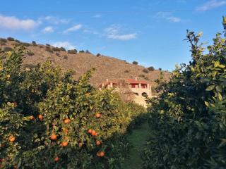 NafplioBiofarms Country Apartments - Néa Tírins - 2