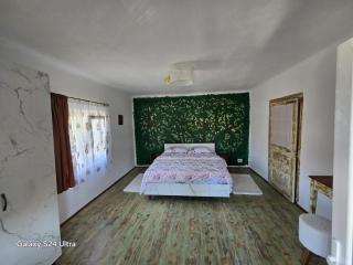 Casa bunicilor- liniștea prispei, răcoarea beciului și aerul poianei - - 6
