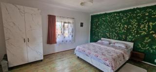 Casa bunicilor- liniștea prispei, răcoarea beciului și aerul poianei - - 5