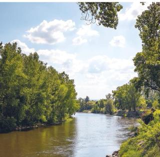 Location calme - Cournon-dʼAuvergne - 9