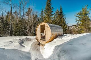 Ski Saint-Come - Spa and Sauna - Le Tamarak - 8
