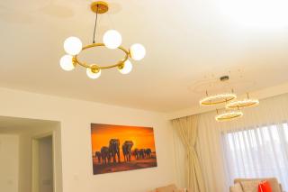 Elegant Apartment in Kilimani,Nairobi - 6