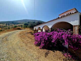 Rural Mountain Oasis with Pool in Almogia, Malaga - 9