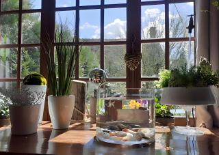 Maisonnette Cocooning en Sologne - 9