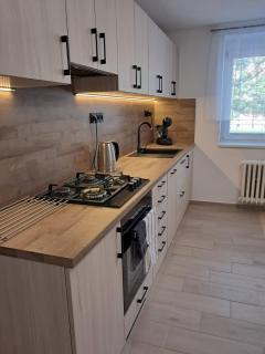 Apartmán Dukla - Pardubice - 5