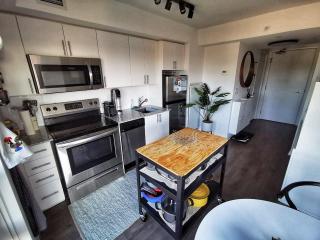 Chic Bachelor near Subway and Rogers Stadium - 1