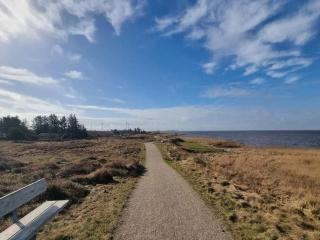 6 person holiday home in Hemmet - 6