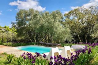 Paradise place South of France - Junas - 5
