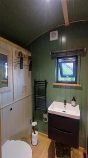 Shepherd's Huts -at- Chawton Park Bungalow - 2