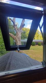 Shepherd's Huts -at- Chawton Park Bungalow - Alton - 6